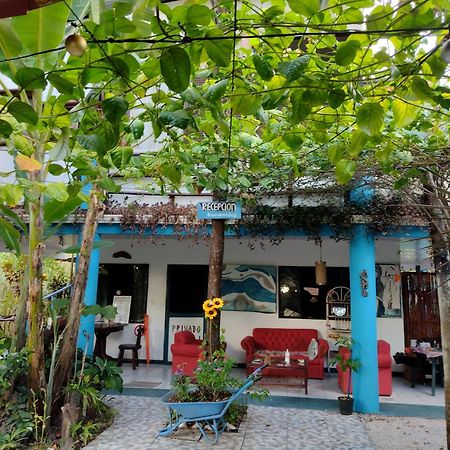 Cabinas Del Mar Sámara エクステリア 写真