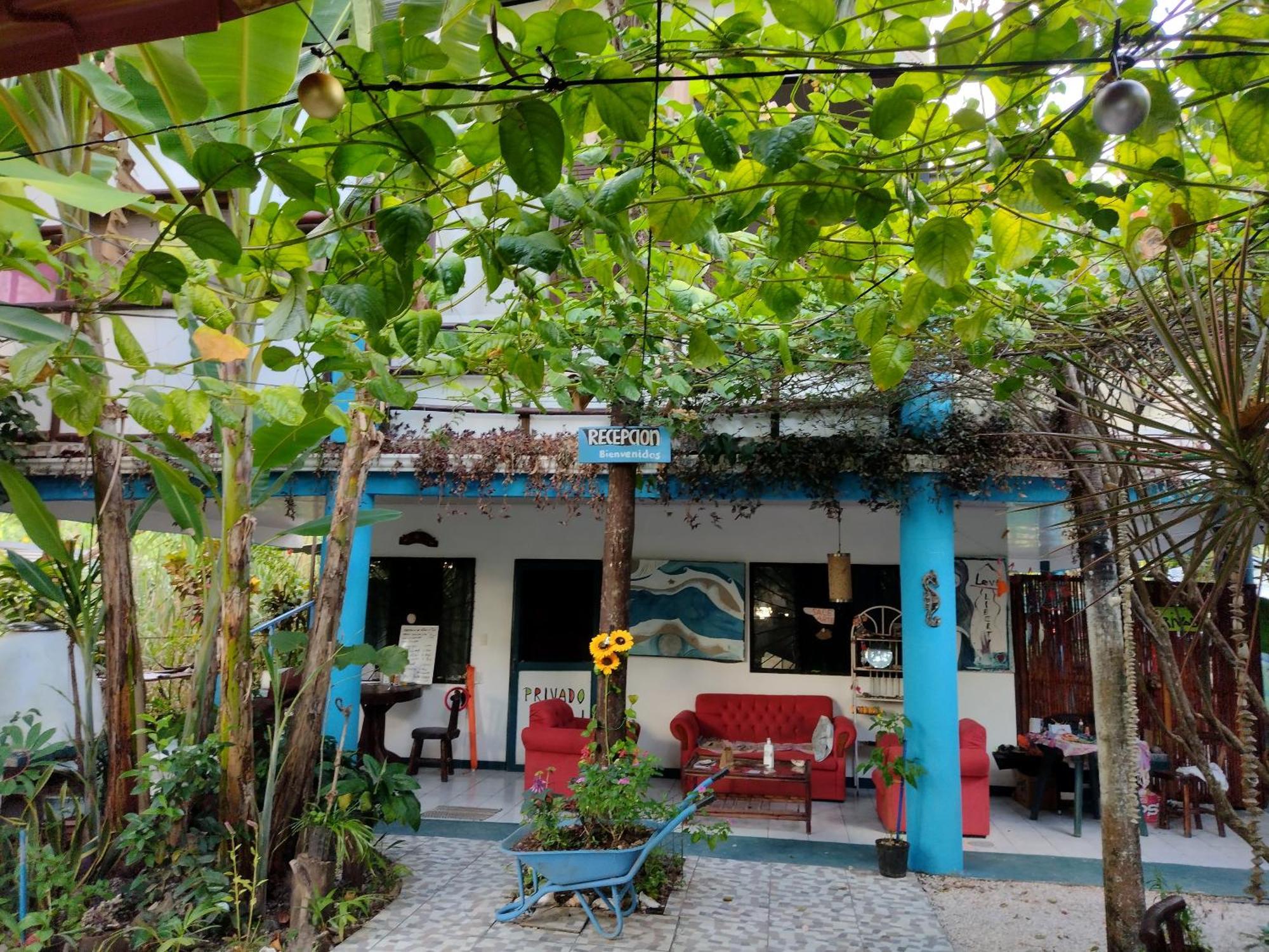 Cabinas Del Mar Sámara エクステリア 写真