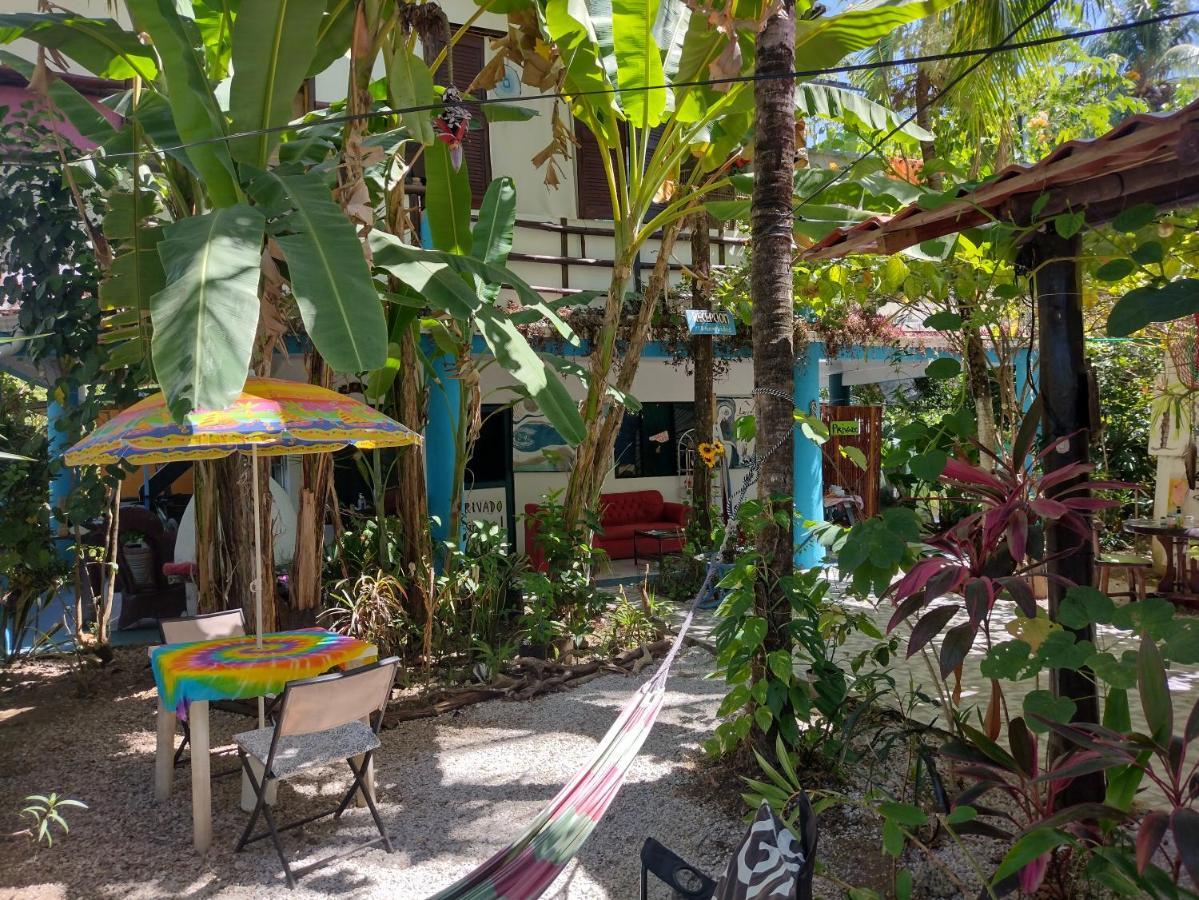 Cabinas Del Mar Sámara エクステリア 写真