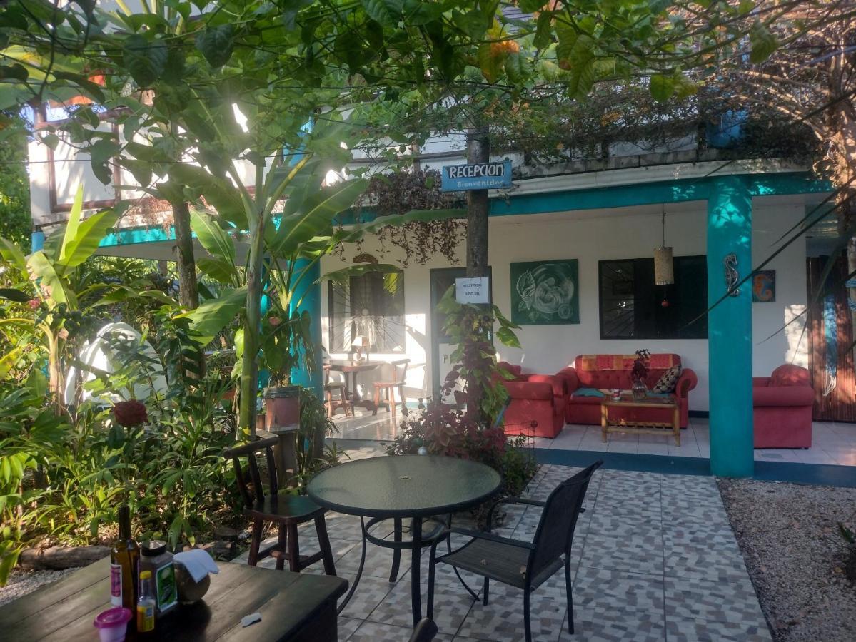 Cabinas Del Mar Sámara エクステリア 写真