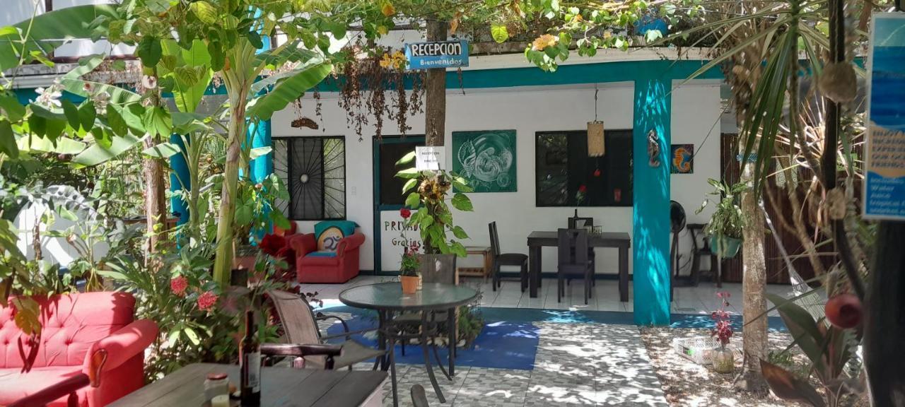 Cabinas Del Mar Sámara エクステリア 写真