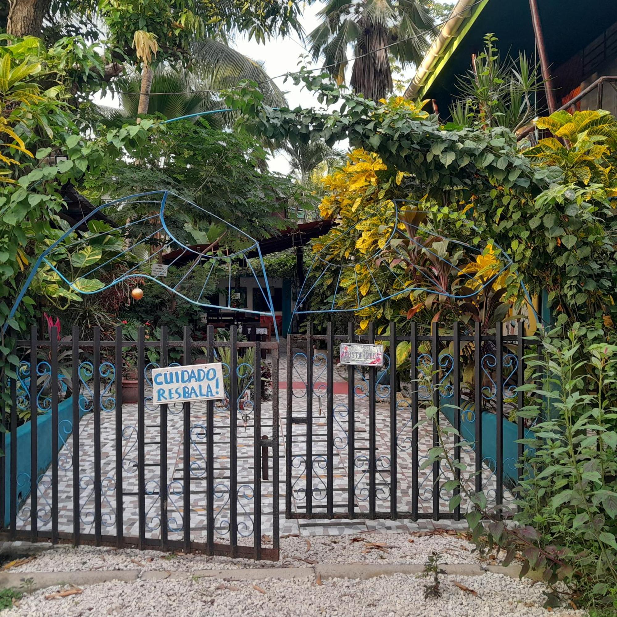 Cabinas Del Mar Sámara エクステリア 写真
