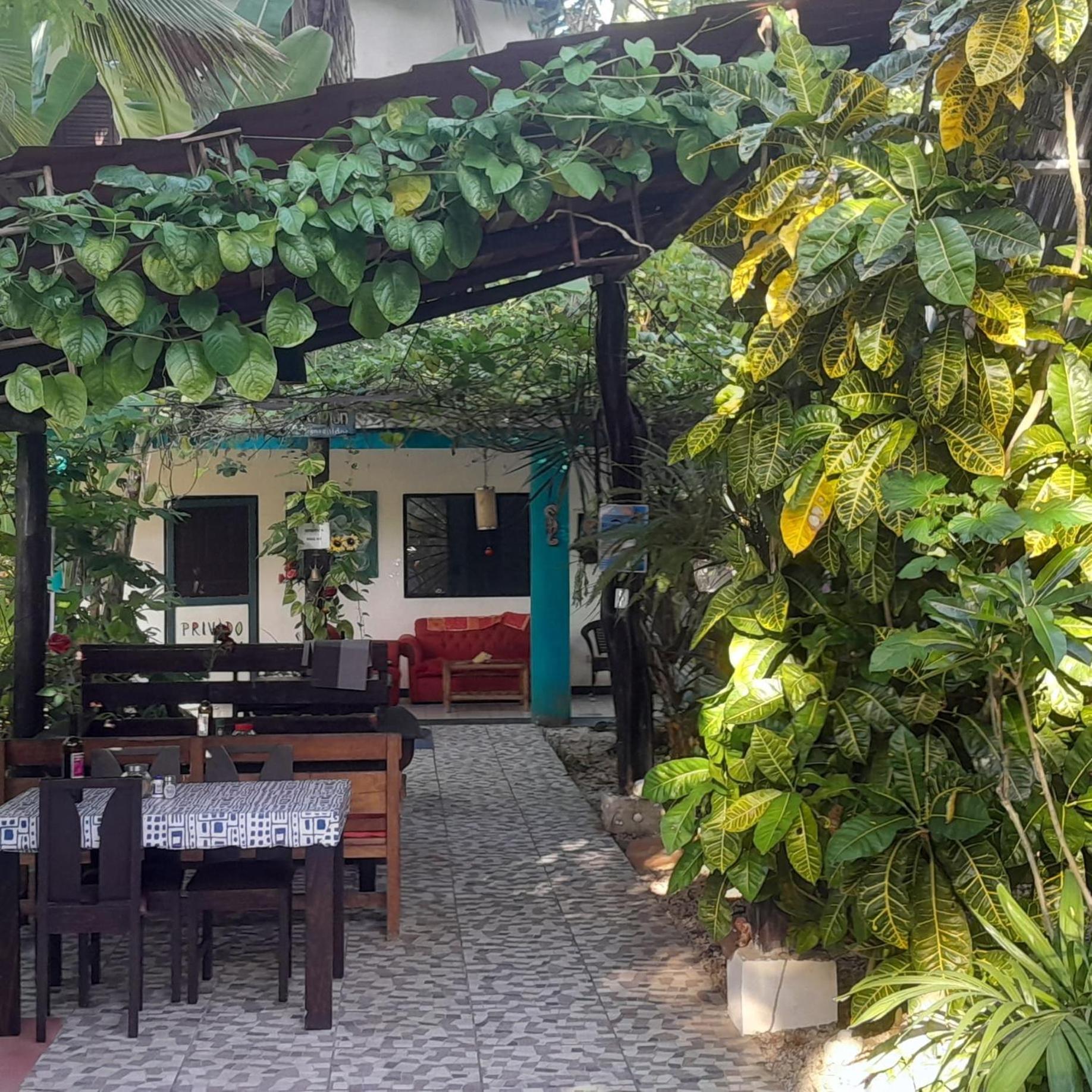 Cabinas Del Mar Sámara エクステリア 写真